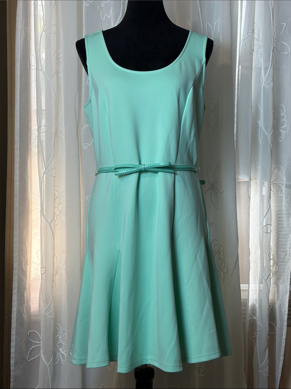 Spense Frozen Aqua Green Sleeveless Fit & Flare Dress with Slim Belt 14P NWT